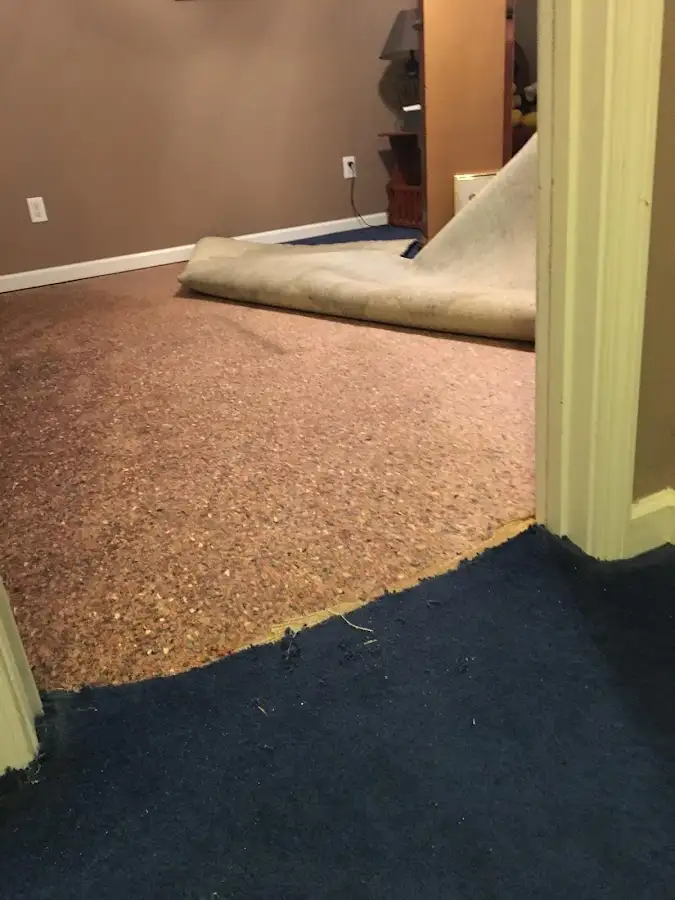 Carpet pad removal revealing water damage during Drying & Dehumidification in New Carlisle