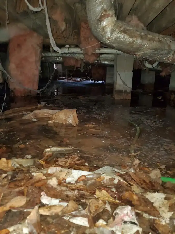 Crawl space flood assessment for Leak Detection & Repair in New Carlisle