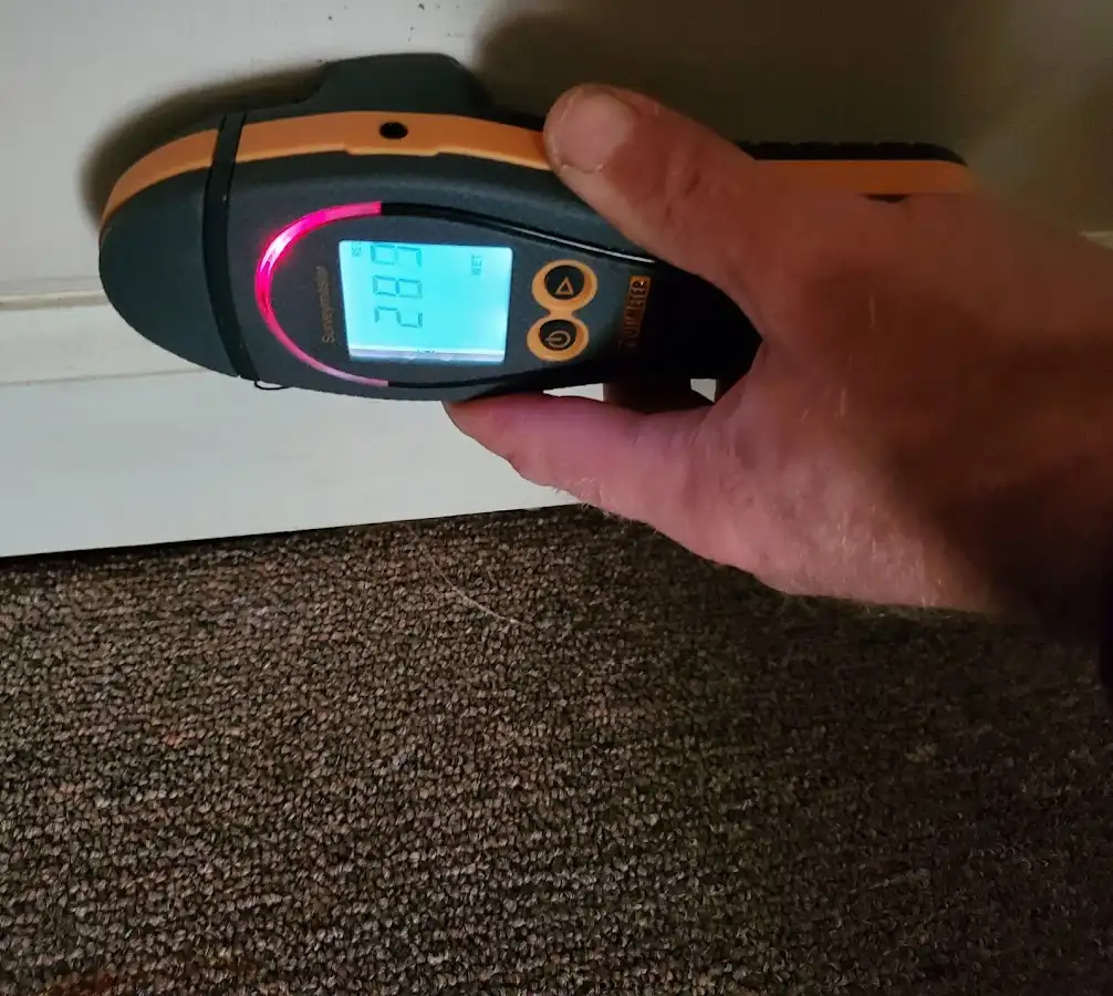 Moisture detection at baseboard during Sewage Cleanup & Sanitation in New Carlisle